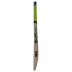 PR Opener Kashmir Willow Cricket Bat (SH)